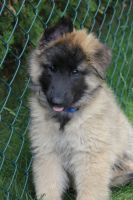 jour 54 - 27 mai 2012