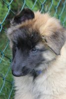 jour 54 - 27 mai 2012