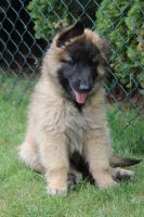 jour 54 - 27 mai 2012