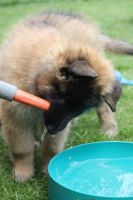 jour 54 - 27 mai 2012