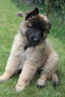 jour 54 - 27 mai 2012