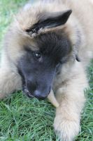 jour 56 - 29 mai 2012