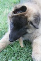 jour 56 - 29 mai 2012