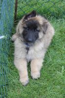 jour 56 - 29 mai 2012