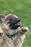 jour 69 - 11 juin 2012