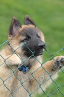 jour 69 - 11 juin 2012