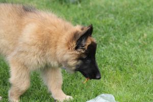 jour 69 - 11 juin 2012