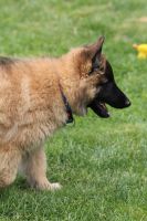 jour 69 - 11 juin 2012