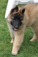 jour 69 - 11 juin 2012