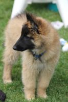 jour 69 - 11 juin 2012