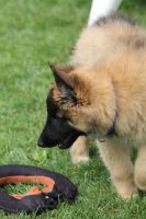 jour 69 - 11 juin 2012