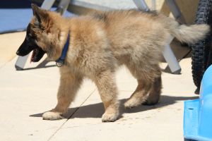 jour 69 - 11 juin 2012