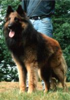 Millo Van de Hoge Lear