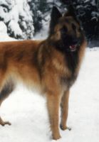 Nanette Van de Hoge Lear