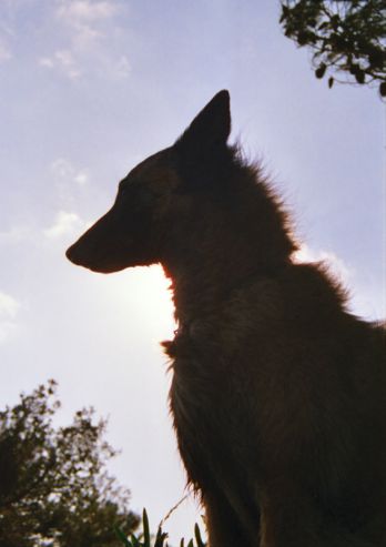 vacance en Côte d‘Azure.....