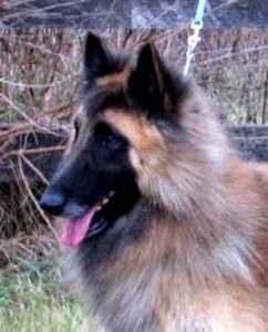 Avanger du Puy d‘Aura